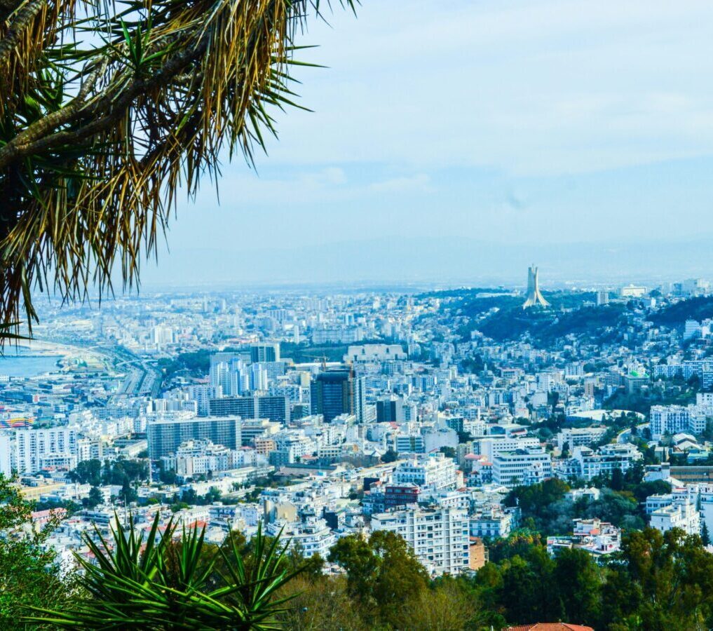 aymen-belhani-hj0DOeENCx8-unsplash