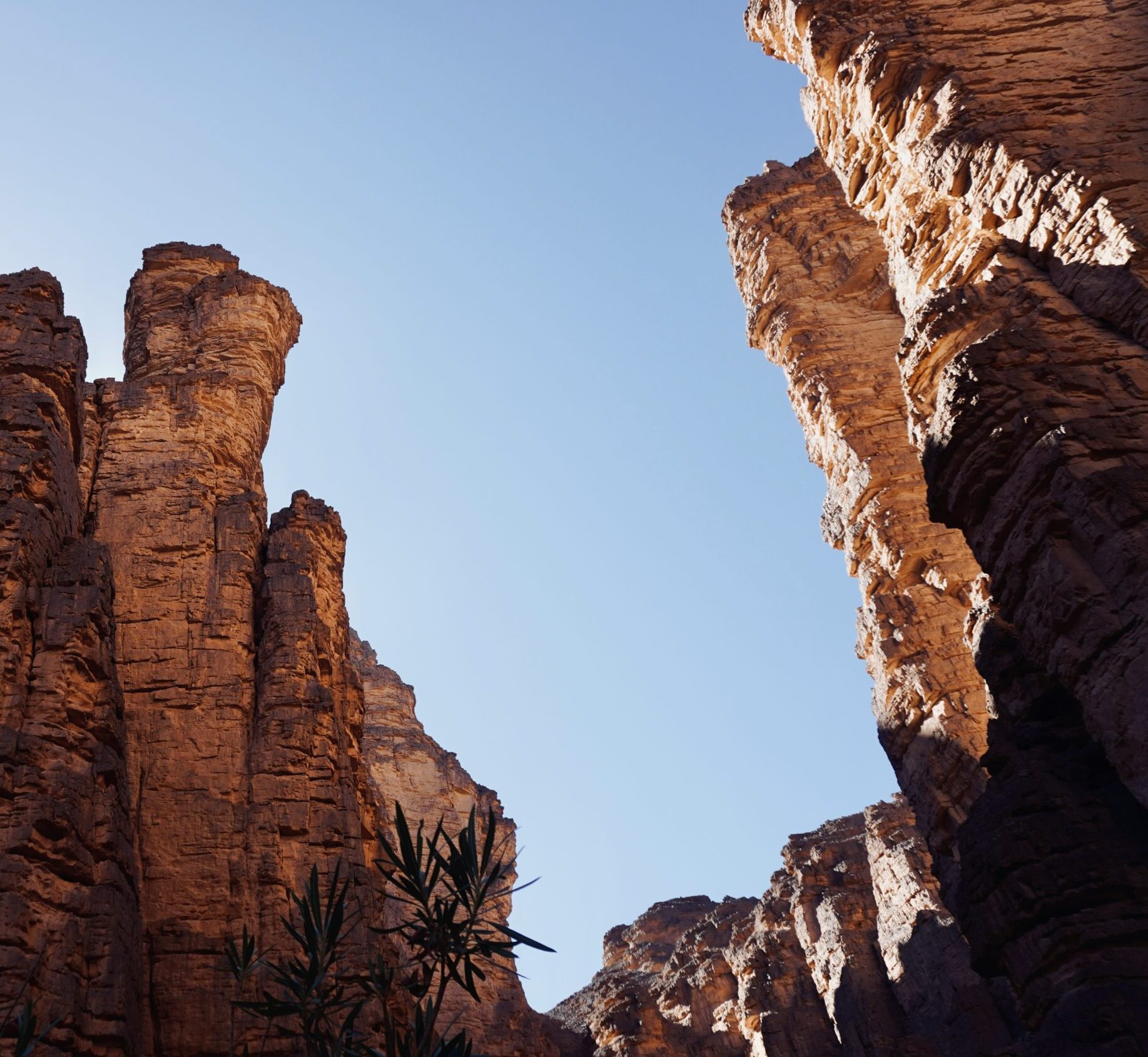 azzedine-rouichi-8nlvcIjBpoc-unsplash