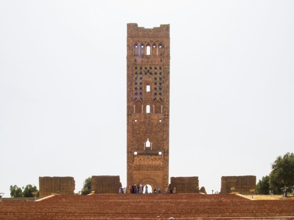 halima-bouchouicha-ysL_MNXjJ_4-unsplash